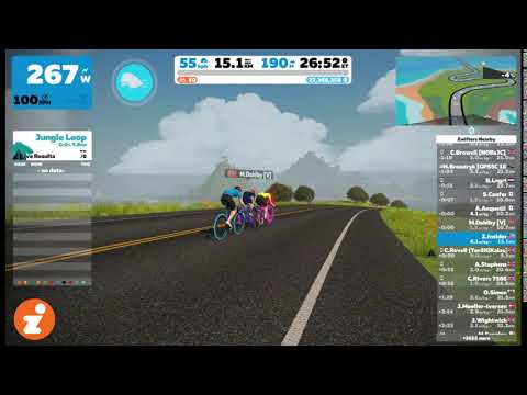 Pace Partners Snippet