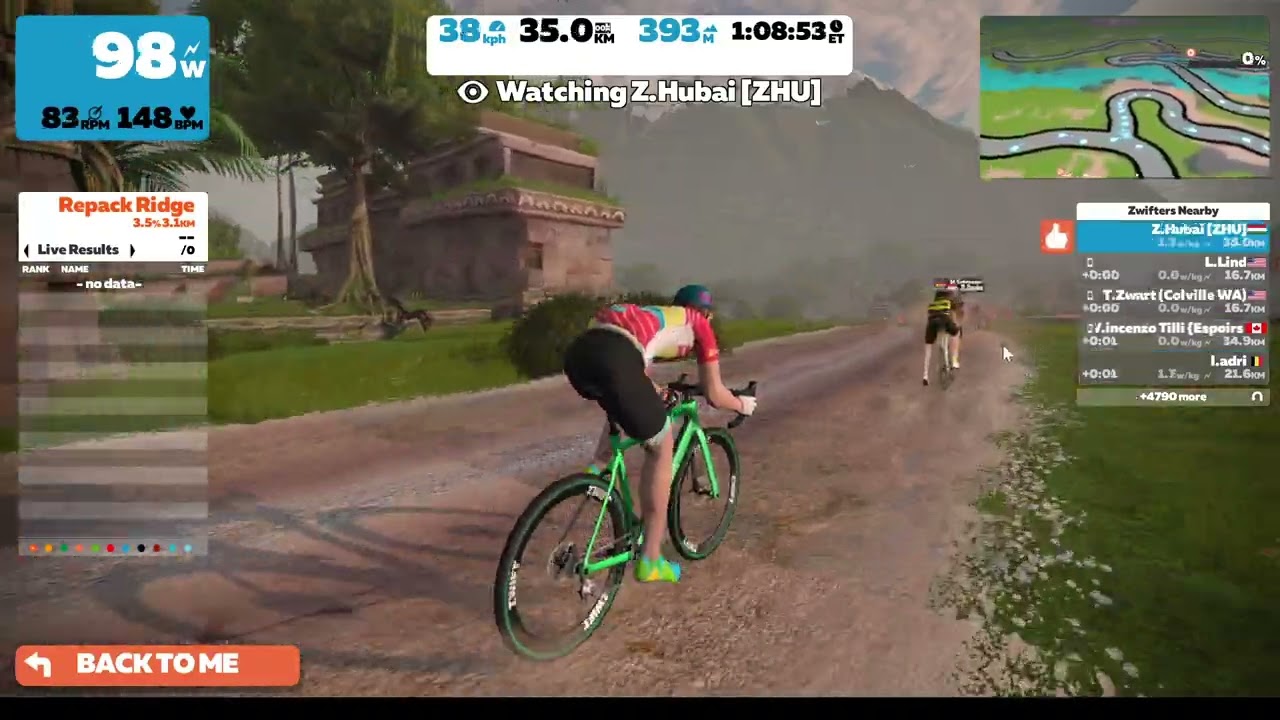 Example of "standard" Jungle dirt surface