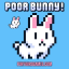 Poor Bunny
