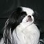 Filipp
