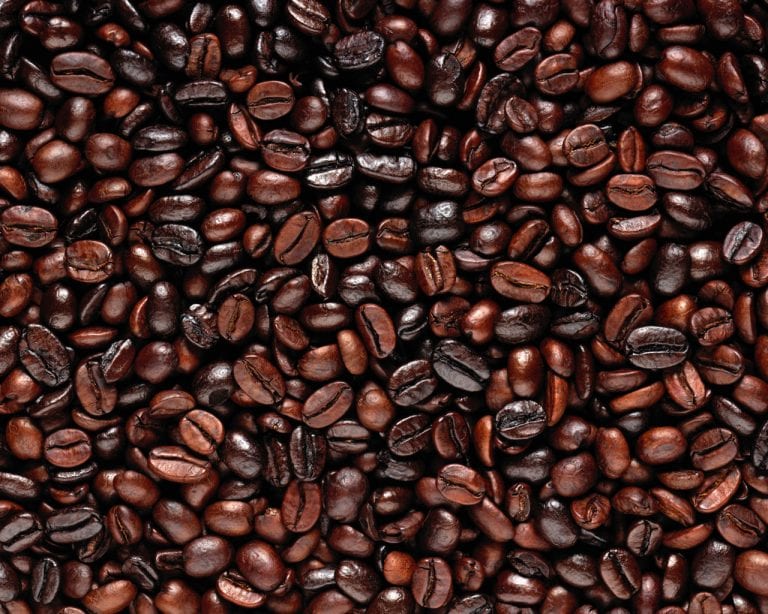 Trek/Segafredo Coffee Rides announced