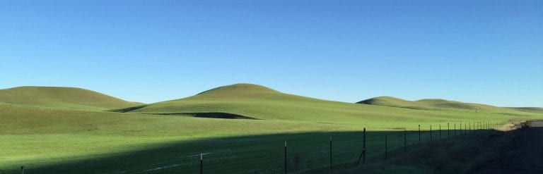 Dunnigan Hills RR: My Second Ride (and First Race) with PR Lotion