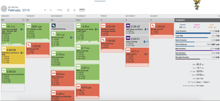 Weeks 8 and 9 – Returning to Normal, a Valiant Attempt