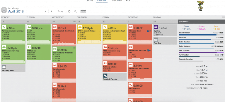 Week 20 – Why Can’t My Legs and Work Just Cooperate?