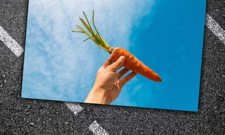 Dear Zwift: I Need More Carrots!