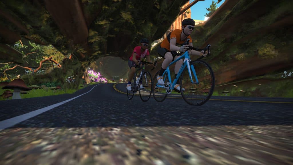 zwift for beginner riders