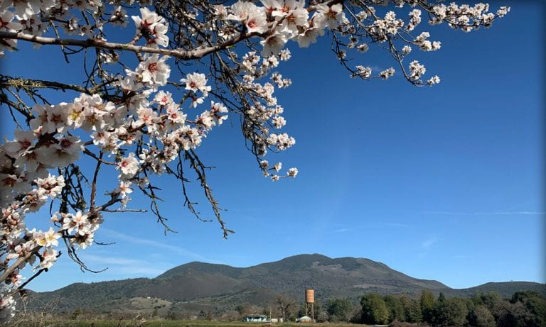 Couch to Route Hero, Active Rest Week Done