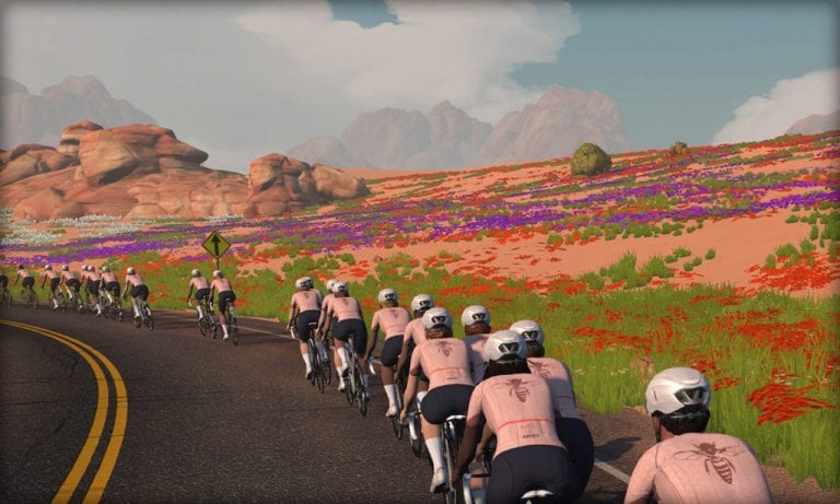 “Join the Swarm” Events & Giveaways Announced