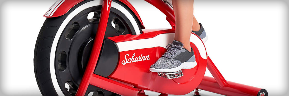 Schwinn classic cruiser exercise bike sale reviews