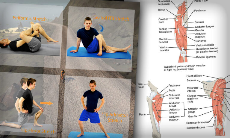 An Active Approach to Cycling Injuries: Hip