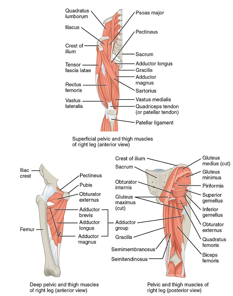 Knee pain after deals cycling