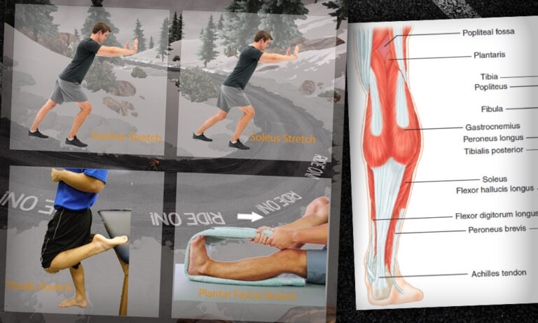 An Active Approach to Cycling Injuries: Ankle and Foot