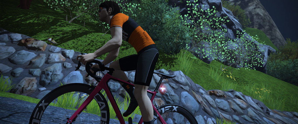 All About Zwift's New Van Rysel EDR CF Bike Frame