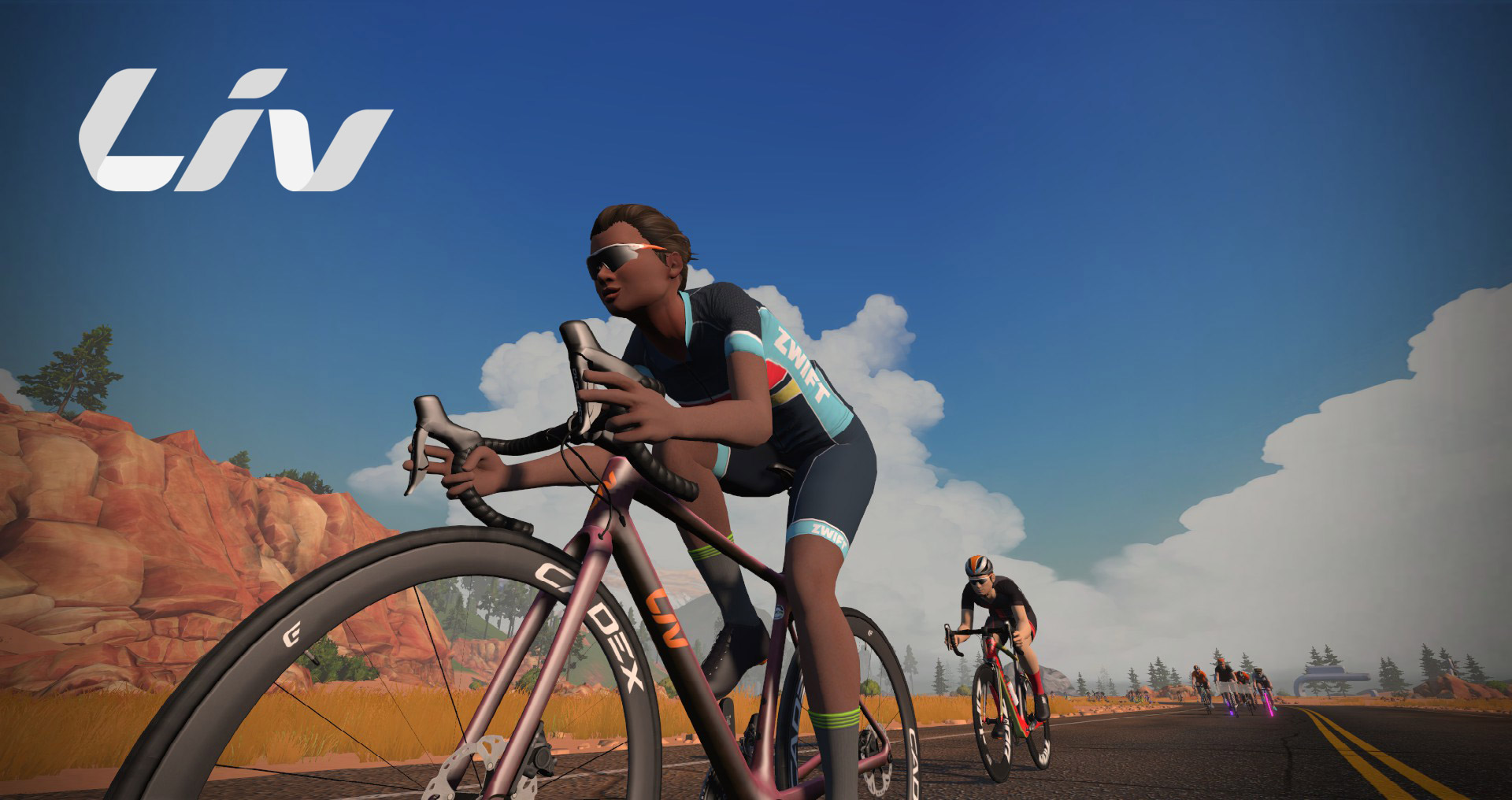 Liv Langma SL Advanced Disc Road Bike Frame Details Header Image