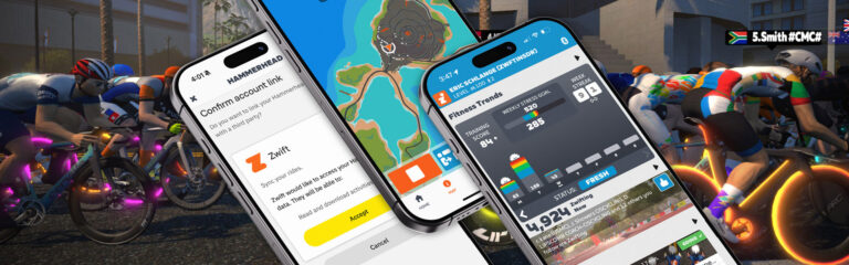Companion App 3.73 Released with Hammerhead Support and Home Screen Toggle