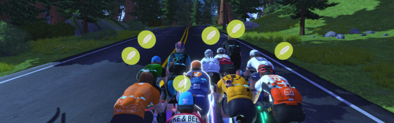 How the Race Was Lost: Trainers and Titans (Sand and Sequoias)