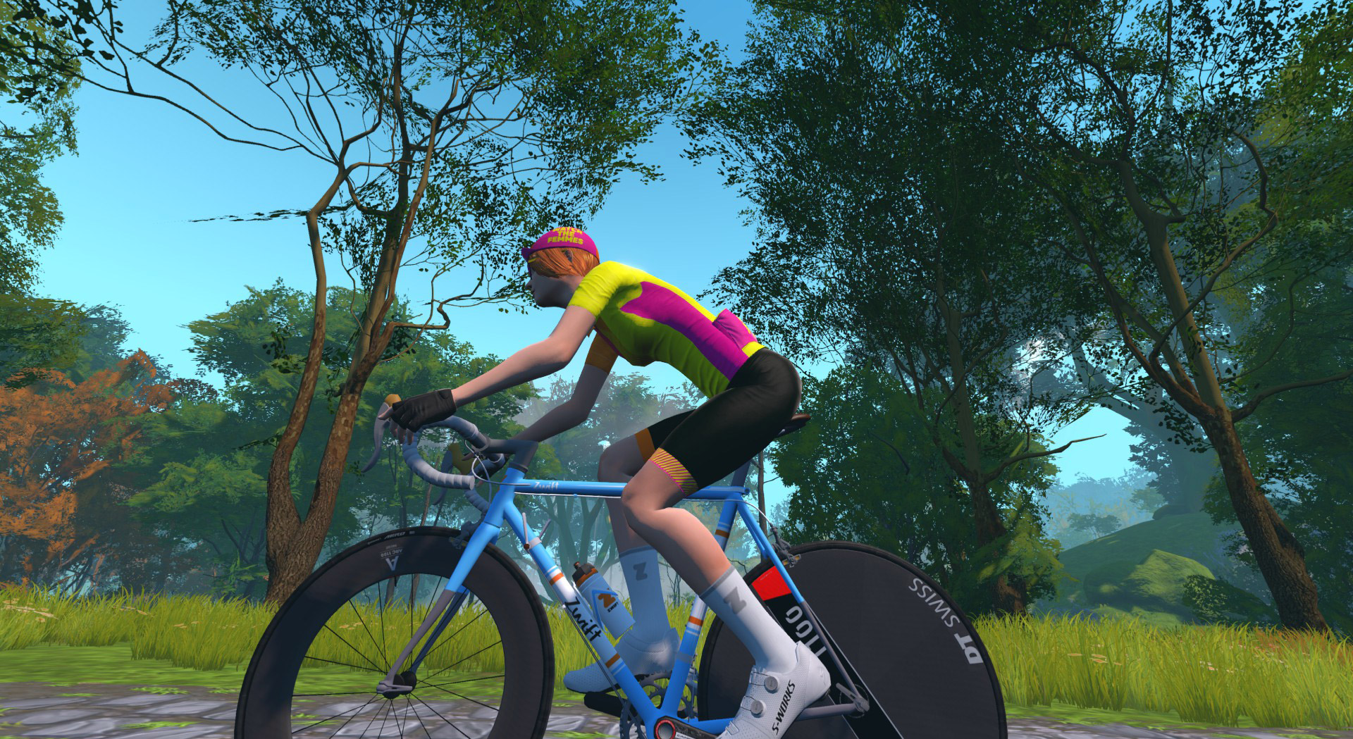 Zwift Steel Road Bike Frame Details In-Game Shot