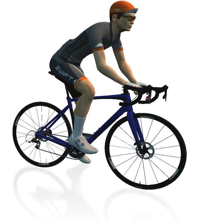 Specialized Ruby Road Bike Frame Details In-Game Shot