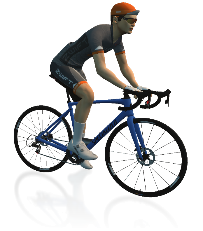 Specialized Roubaix Road Bike Frame Details In-Game Shot