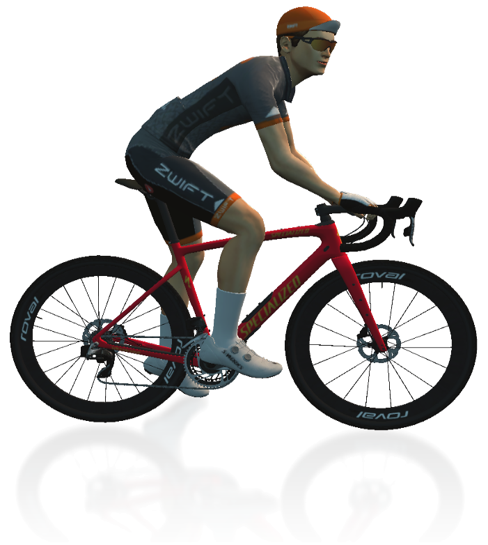 Specialized Diverge 4 Gravel Bike Frame Details In-Game Shot