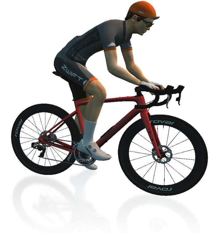 Specialized Diverge Gravel Bike Frame Details In-Game Shot