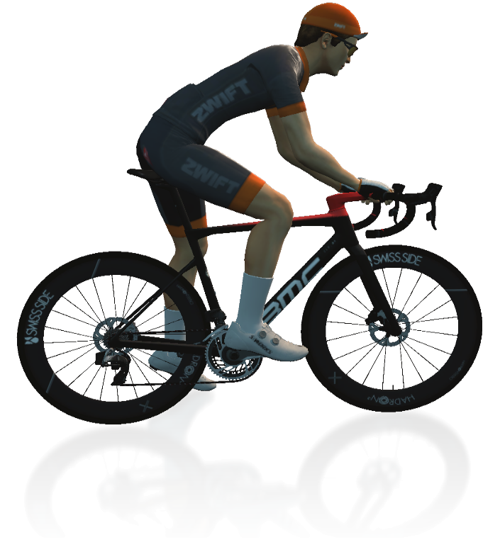 Swiss Side HADRON Ultimate 650 Wheelset Details In-Game Shot
