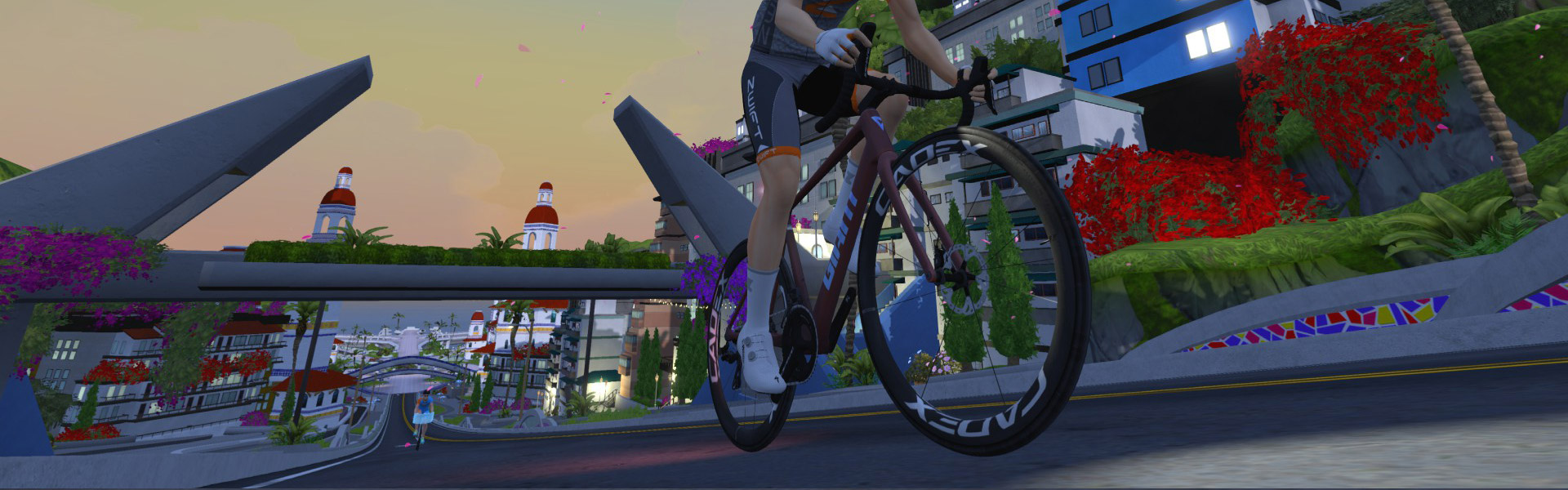 CADEX Max 50 Wheelset Details Header Image