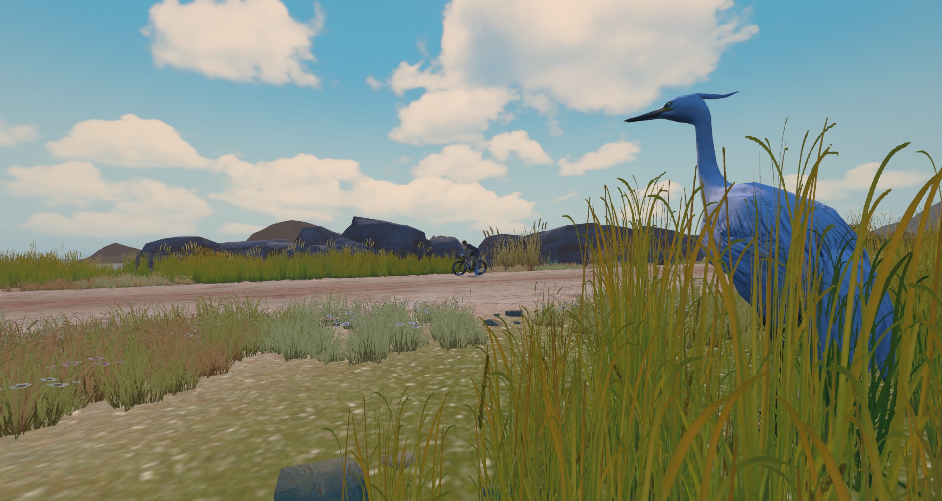 A blue heron stands in tall grass in the foreground, while a person rides a bicycle along a dirt path in the distance.
