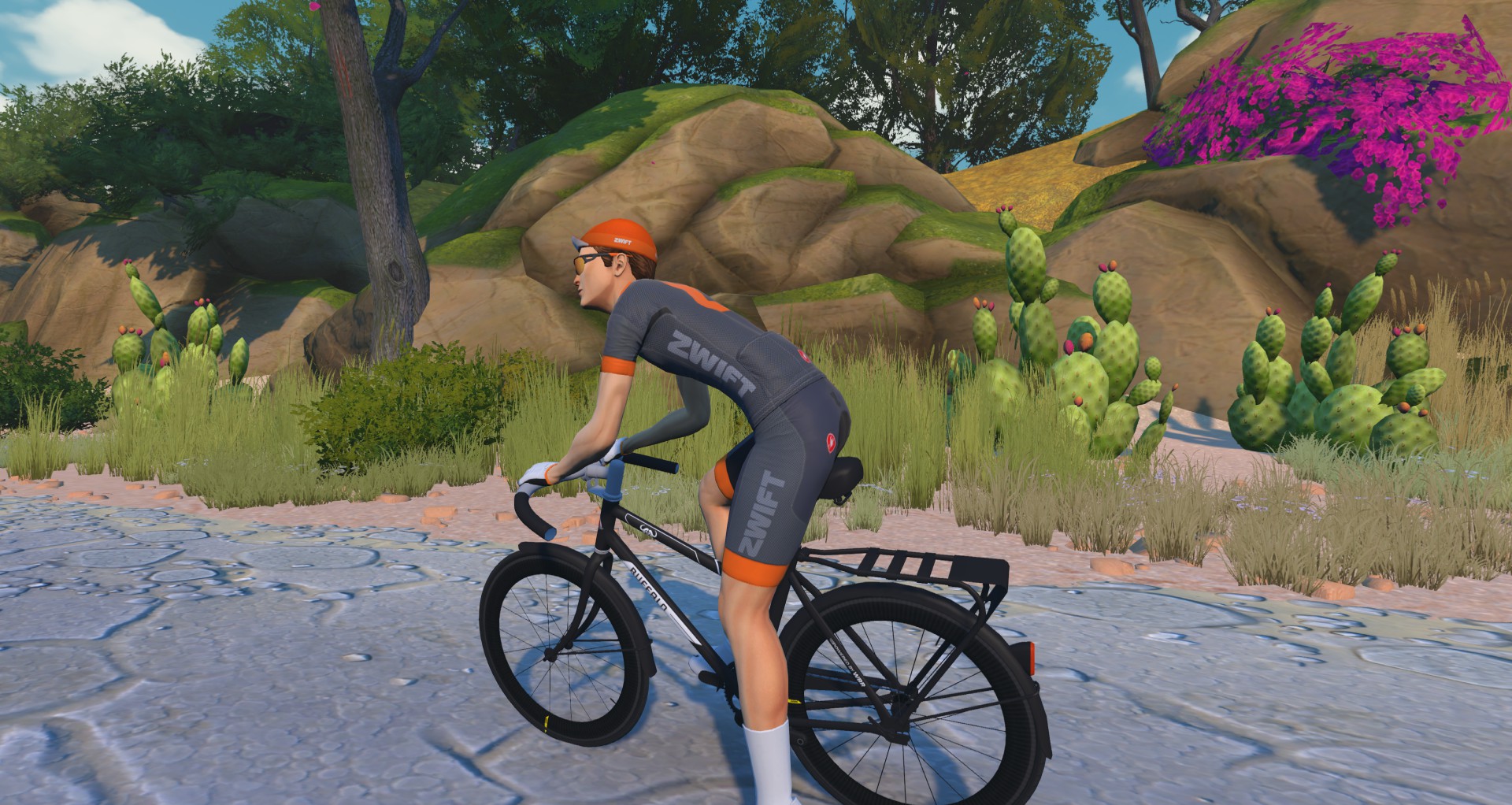 A cyclist in a grey and orange Zwift jersey and orange cap rides a black bicycle on a paved path through a desert landscape with cacti and rock formations.