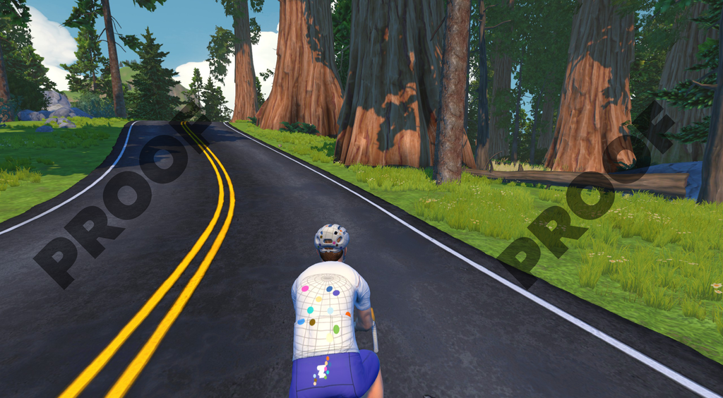 A cyclist in a white jersey with a colorful grid pattern rides a road winding through a redwood forest.